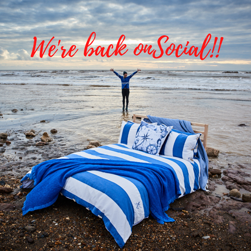 Social Downtime & Summer Round-Up! (2021)