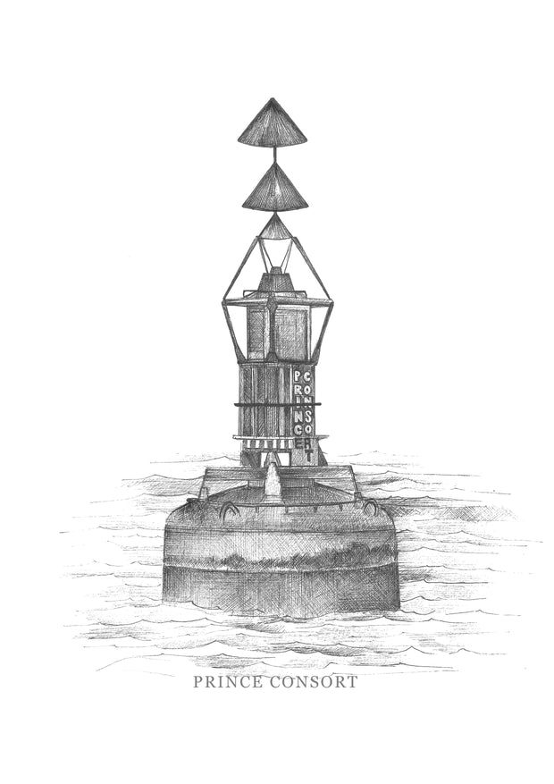 Cardinal Buoy Prints